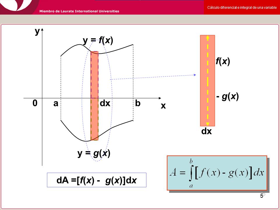 y x y = f(x) dx b a f(x) - g(x) dx y = g(x) dA =[f(x) - g(x)]dx