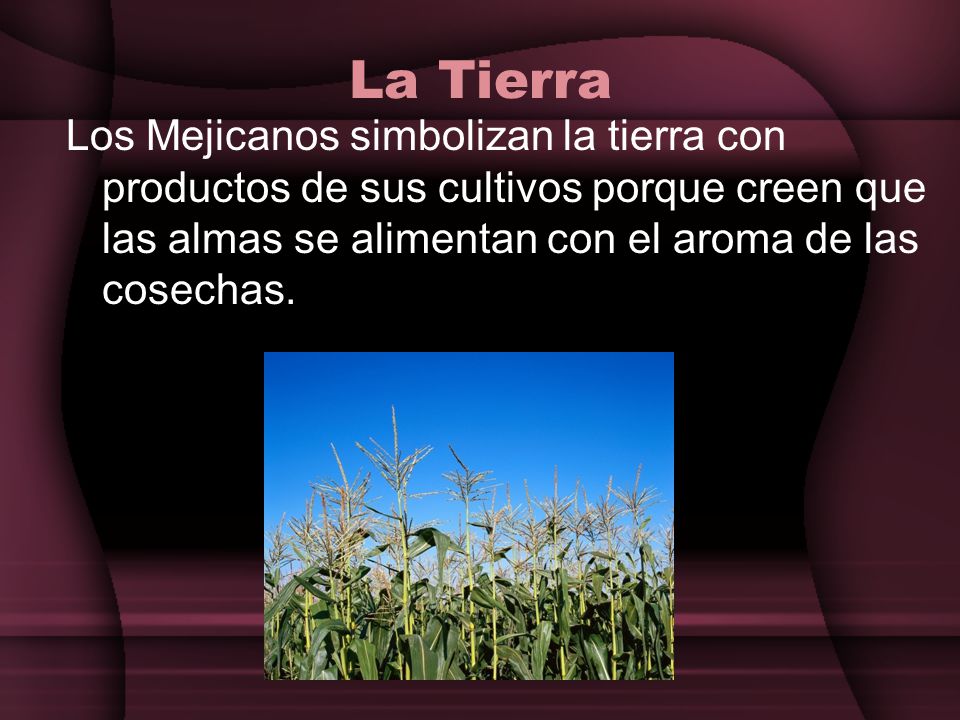 La Tierra Los Mejicanos simbolizan la tierra con productos de sus cultivos porque creen que las almas se alimentan con el aroma de las cosechas.