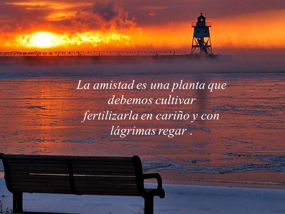 La amistad es una planta que debemos cultivar fertilizarla en cariño y con lágrimas regar .
