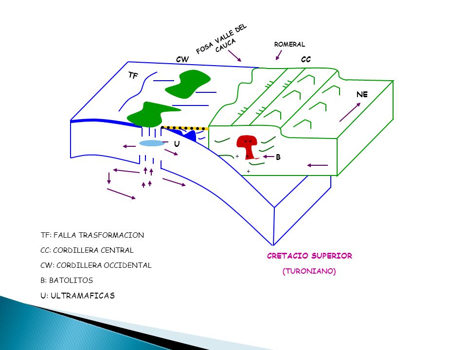 U B NE CC CW TF CRETACIO SUPERIOR U: ULTRAMAFICAS