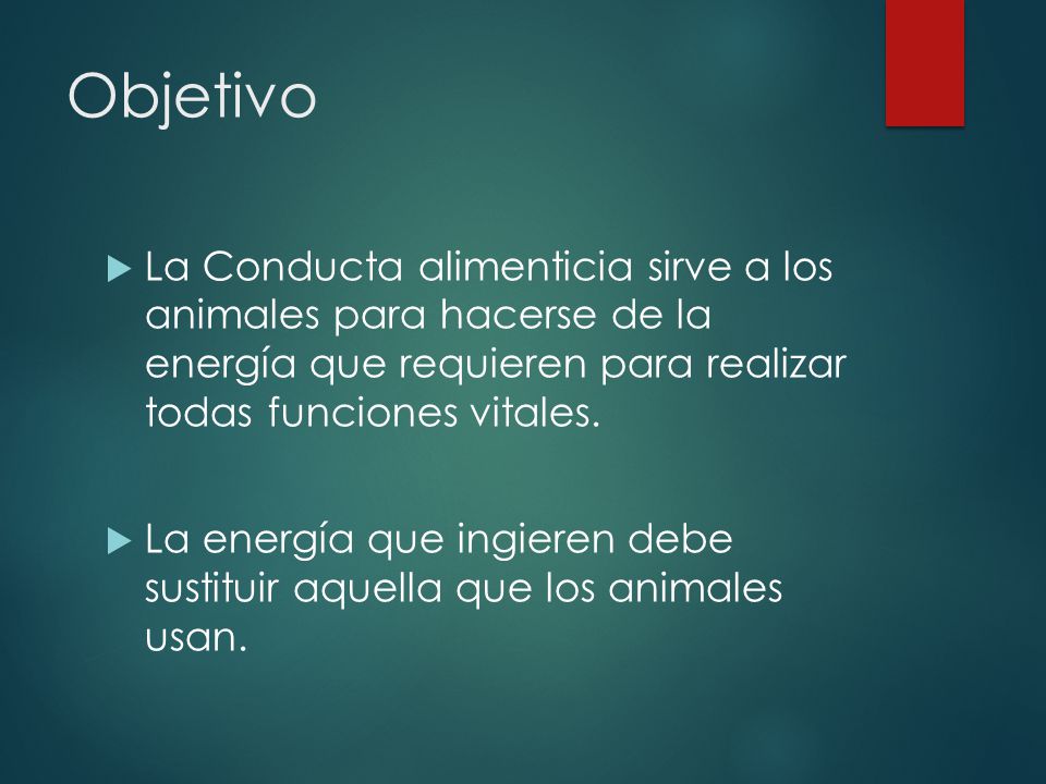 Objetivo La Conducta alimenticia sirve a los animales para hacerse de la energía que requieren para realizar todas funciones vitales.