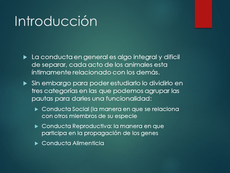 Introducción La conducta en general es algo integral y dificil de separar, cada acto de los animales esta íntimamente relacionado con los demás.