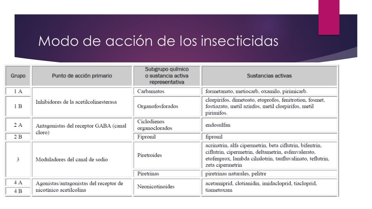 Modo de acción de los insecticidas