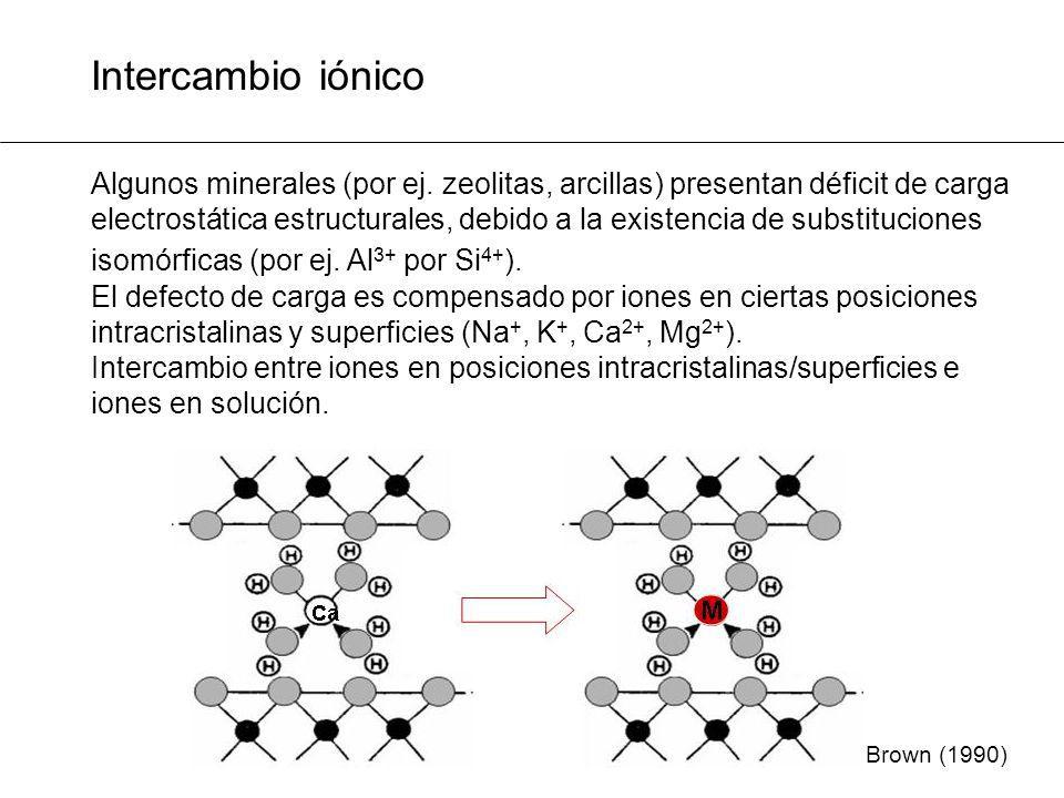 Intercambio iónico Algunos minerales (por ej. zeolitas, arcillas) presentan déficit de carga.