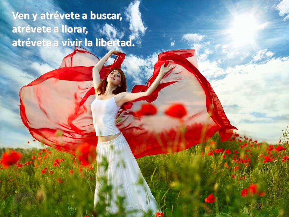 Ven y atrévete a buscar, atrévete a llorar, atrévete a vivir la libertad.