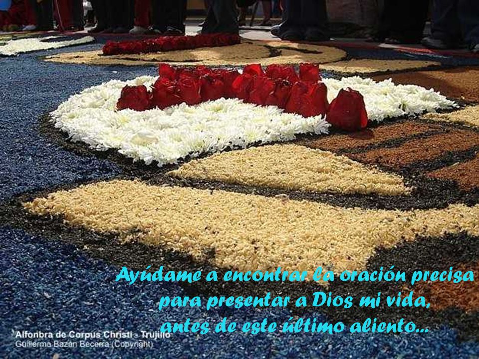 Ayúdame a encontrar la oración precisa para presentar a Dios mi vida,