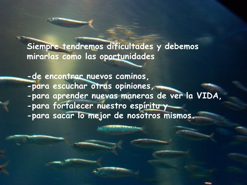 Siempre tendremos dificultades y debemos mirarlas como las oportunidades -de encontrar nuevos caminos, -para escuchar otras opiniones, -para aprender nuevas maneras de ver la VIDA, -para fortalecer nuestro espíritu y -para sacar lo mejor de nosotros mismos.