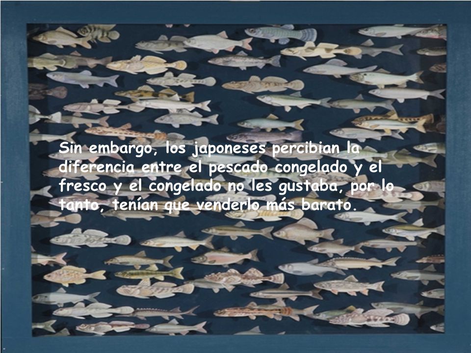 Sin embargo, los japoneses percibian la diferencia entre el pescado congelado y el fresco y el congelado no les gustaba, por lo tanto, tenían que venderlo más barato.