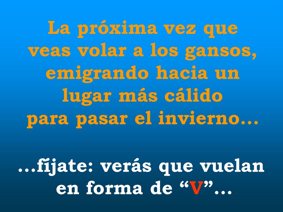 La próxima vez que veas volar a los gansos,