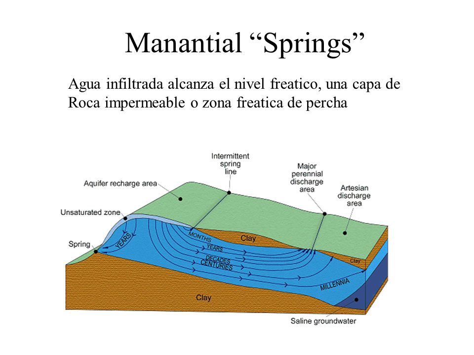 Manantial Springs Agua infiltrada alcanza el nivel freatico, una capa de.