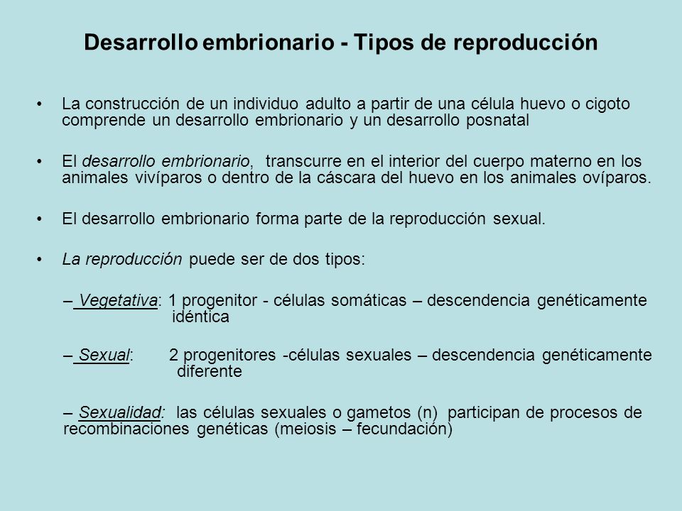Desarrollo embrionario - Tipos de reproducción