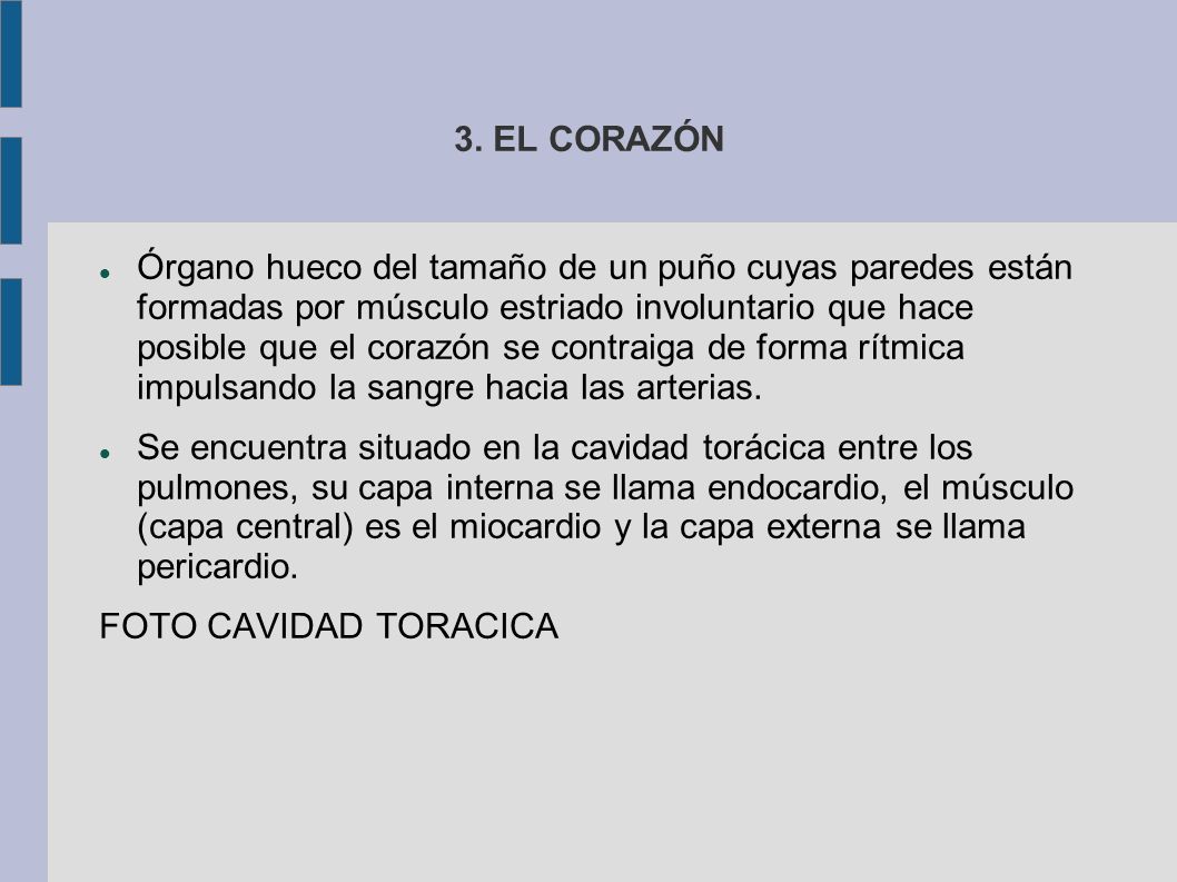 3. EL CORAZÓN