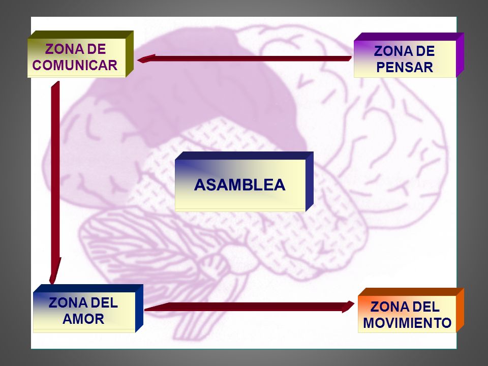 ASAMBLEA SER HUMANO ZONA DE COMUNICAR LENGUAJE ZONA DE PENSAR PROCESOS