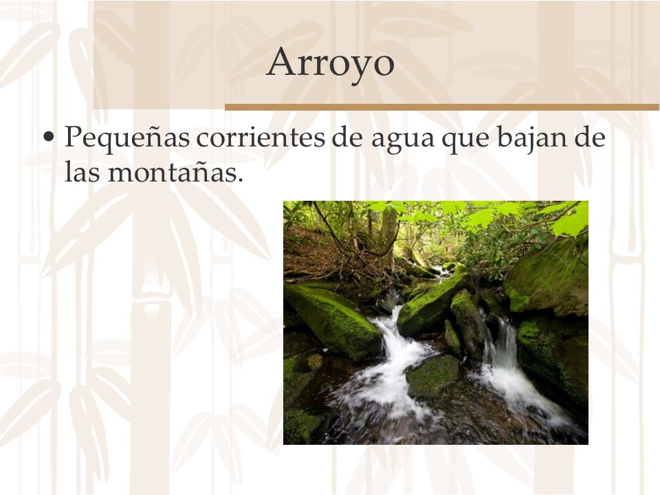 Arroyo Pequeñas corrientes de agua que bajan de las montañas.
