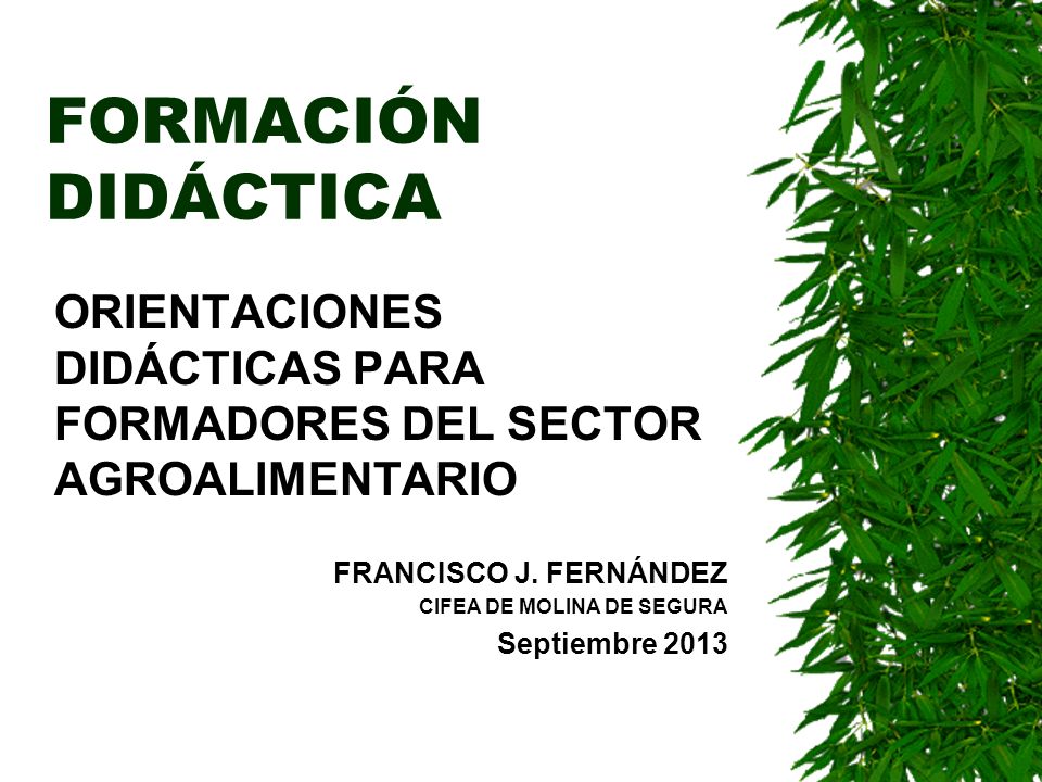 FORMACIÓN DIDÁCTICA ORIENTACIONES DIDÁCTICAS PARA FORMADORES DEL SECTOR AGROALIMENTARIO. FRANCISCO J. FERNÁNDEZ.
