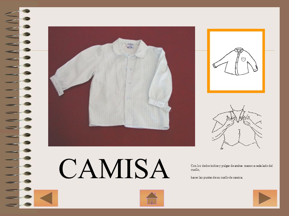 CAMISA Con los dedos índice y pulgar de ambas manos a cada lado del cuello, hacer las puntas de un cuello de camisa.