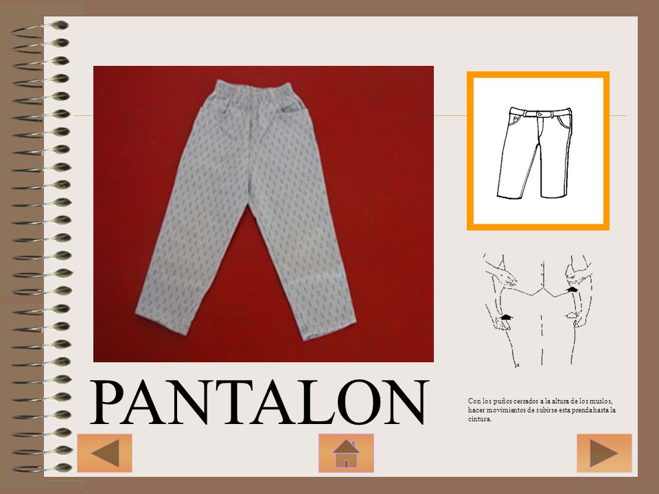 PANTALON Con los puños cerrados a la altura de los muslos, hacer movimientos de subirse esta prenda hasta la cintura.