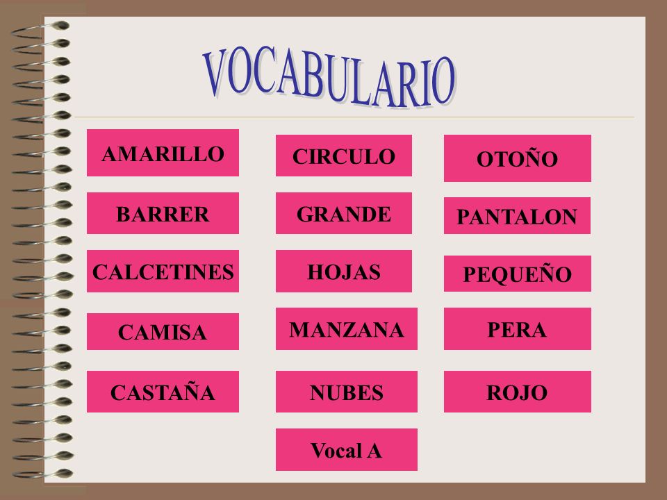 VOCABULARIO AMARILLO CIRCULO OTOÑO BARRER GRANDE PANTALON CALCETINES