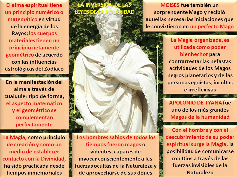 El alma espiritual tiene un principio numérico o matemático en virtud