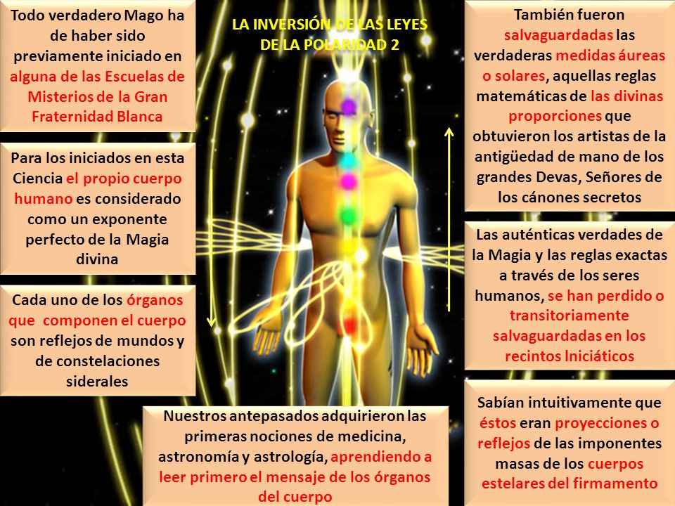 Todo verdadero Mago ha de haber sido previamente iniciado en