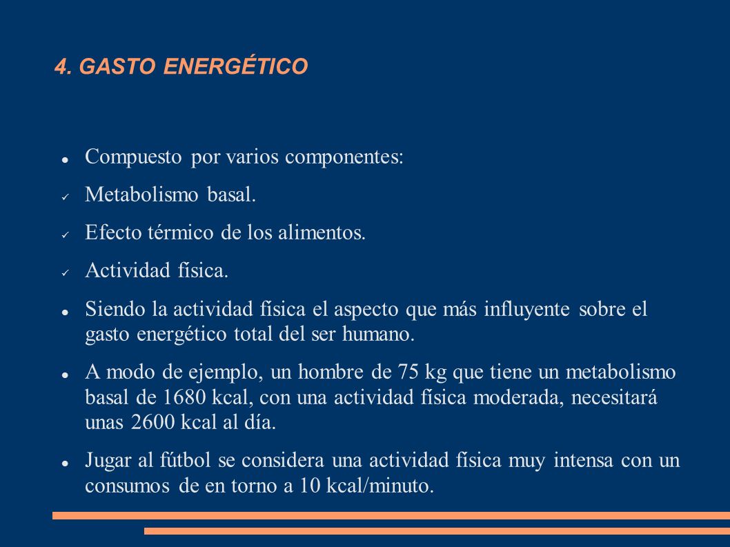 4. GASTO ENERGÉTICO Compuesto por varios componentes: Metabolismo basal. Efecto térmico de los alimentos.