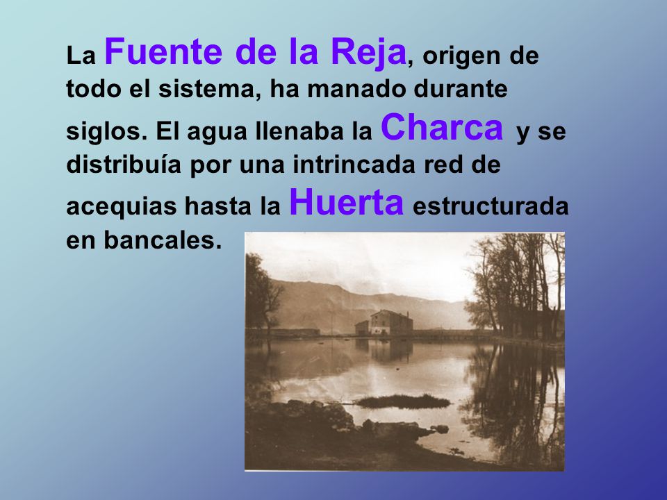 La Fuente de la Reja, origen de todo el sistema, ha manado durante siglos.