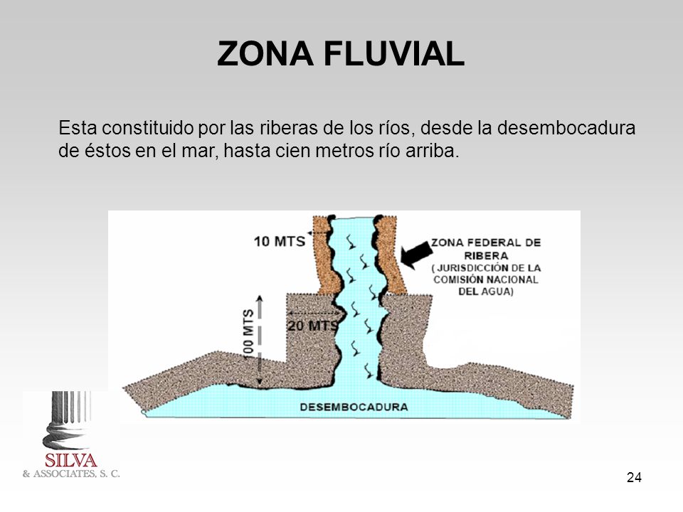 ZONA FLUVIAL Esta constituido por las riberas de los ríos, desde la desembocadura de éstos en el mar, hasta cien metros río arriba.