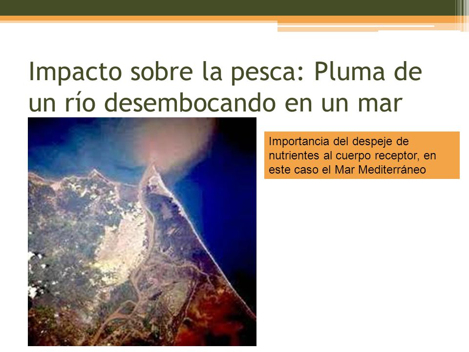 Impacto sobre la pesca: Pluma de un río desembocando en un mar