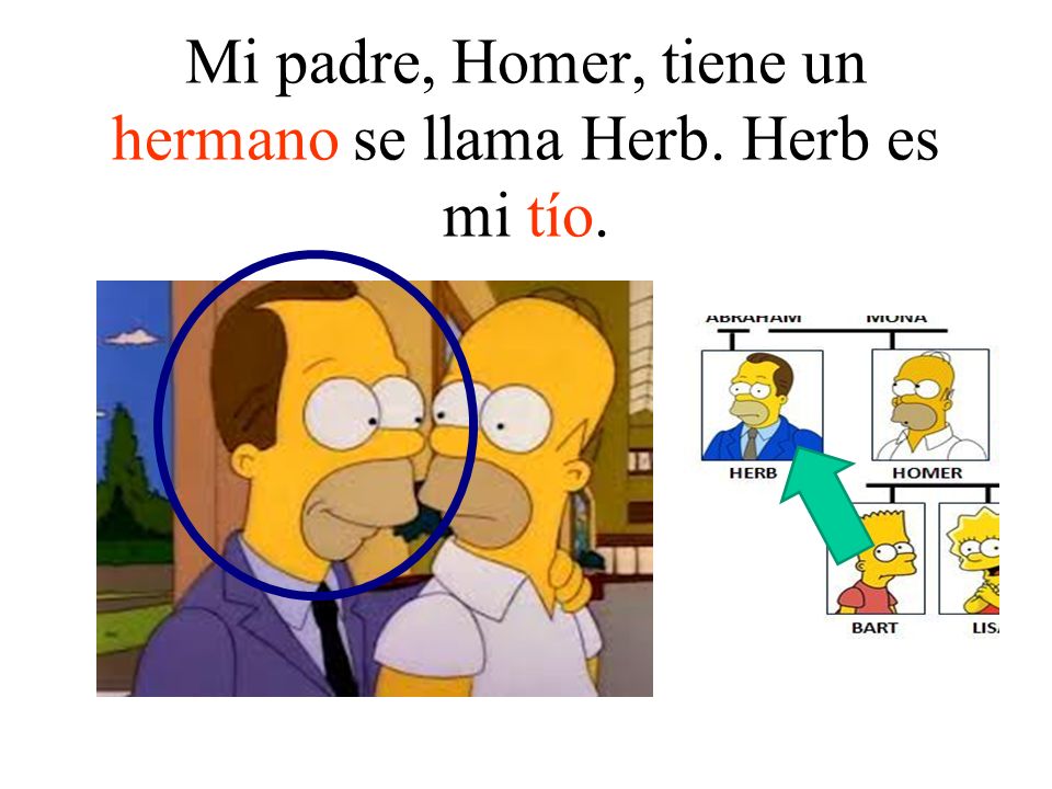Mi padre, Homer, tiene un hermano se llama Herb. Herb es mi tío.