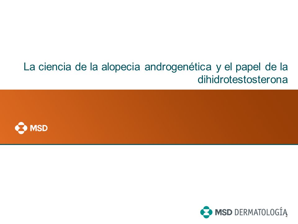 La ciencia de la alopecia androgenética y el papel de la dihidrotestosterona
