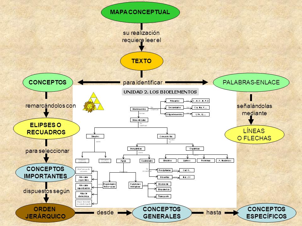 MAPA CONCEPTUAL su realización. requiere leer el. TEXTO. CONCEPTOS. PALABRAS-ENLACE. para identificar.