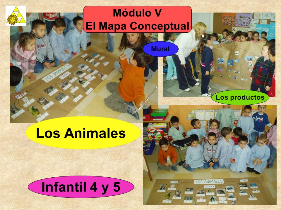 Los Animales Infantil 4 y 5 Módulo V El Mapa Conceptual Mural
