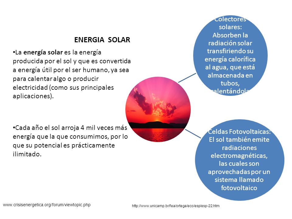 Colectores solares: Absorben la radiación solar transfiriendo su energía calorífica al agua, que está almacenada en tubos, calentándola.