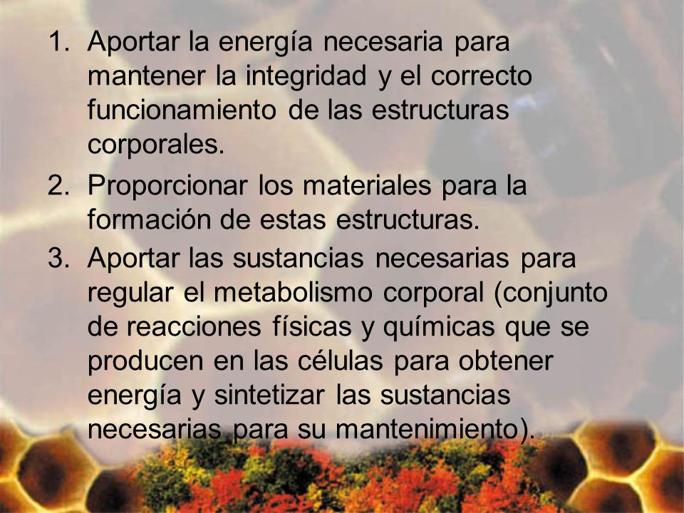 Aportar la energía necesaria para mantener la integridad y el correcto funcionamiento de las estructuras corporales.