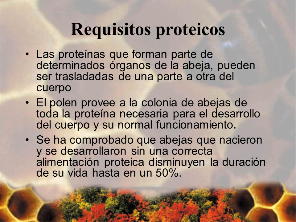 Requisitos proteicos Las proteínas que forman parte de determinados órganos de la abeja, pueden ser trasladadas de una parte a otra del cuerpo.