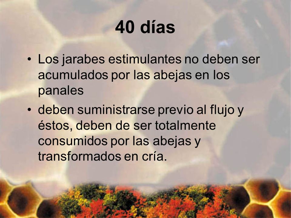 40 días Los jarabes estimulantes no deben ser acumulados por las abejas en los panales.