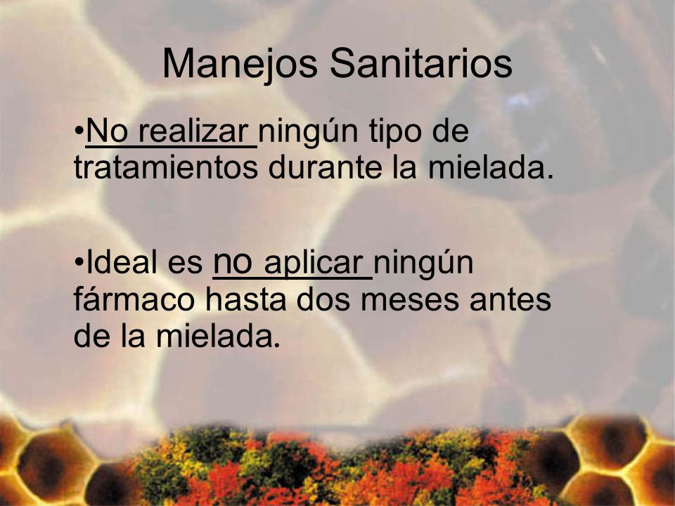 Manejos Sanitarios No realizar ningún tipo de tratamientos durante la mielada.