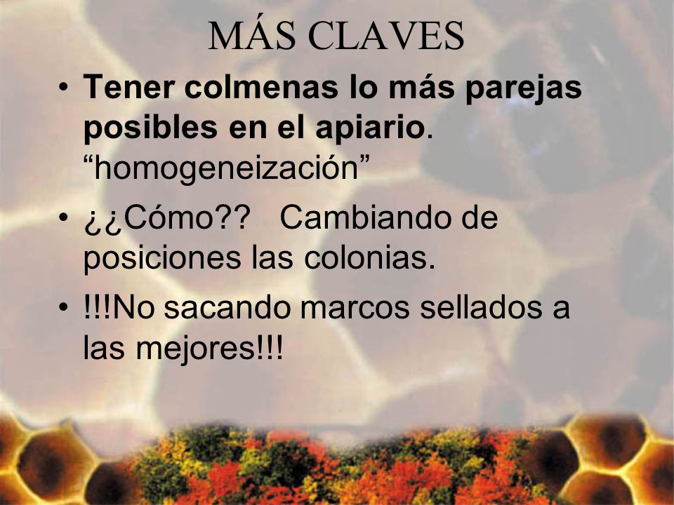 MÁS CLAVES Tener colmenas lo más parejas posibles en el apiario. homogeneización ¿¿Cómo Cambiando de posiciones las colonias.