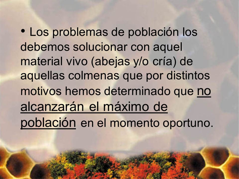 Los problemas de población los debemos solucionar con aquel material vivo (abejas y/o cría) de aquellas colmenas que por distintos motivos hemos determinado que no alcanzarán el máximo de población en el momento oportuno.