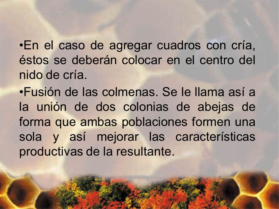 En el caso de agregar cuadros con cría, éstos se deberán colocar en el centro del nido de cría.