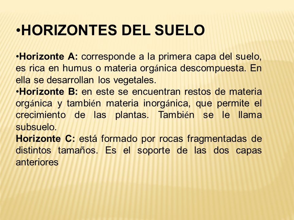 HORIZONTES DEL SUELO