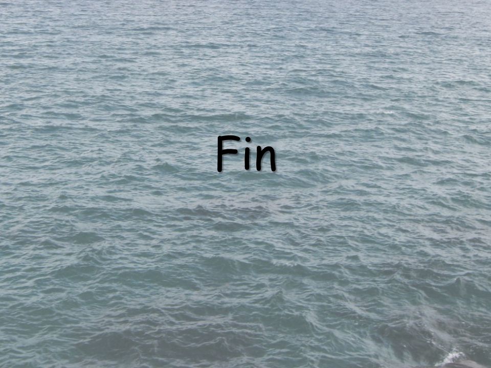 Fin