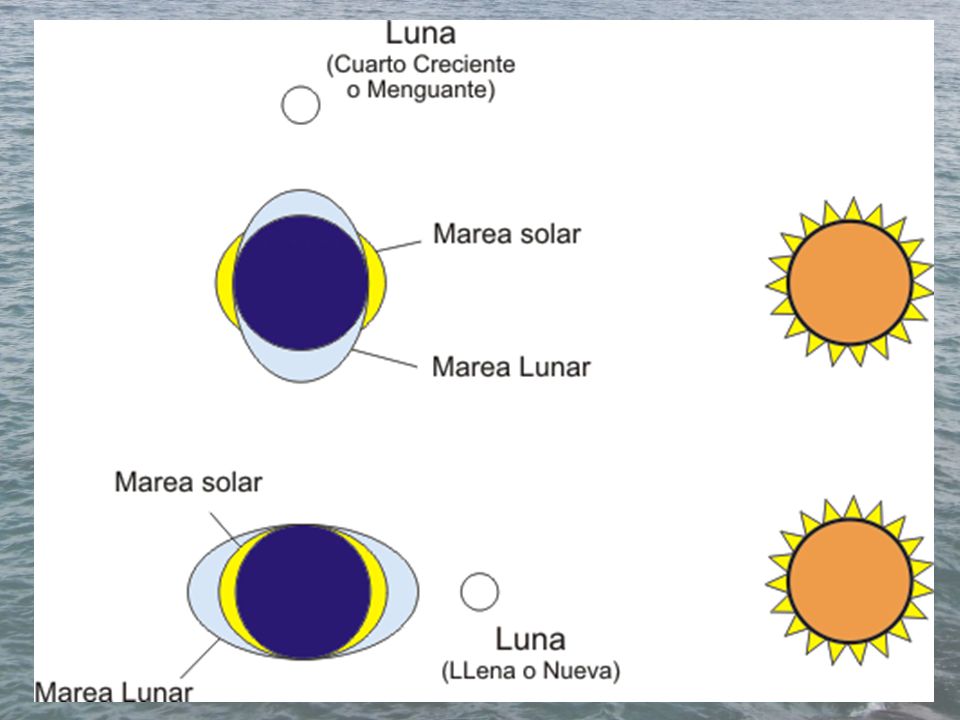 La energía gravitatoria terrestre y lunar, la energía solar y la eólica dan