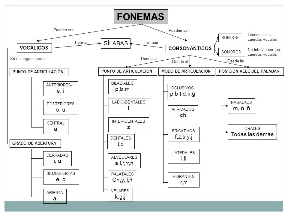 FONEMAS SÍLABAS p,b,m e, i p,b,t,d,k,g f m, n, ñ o, u ch z a