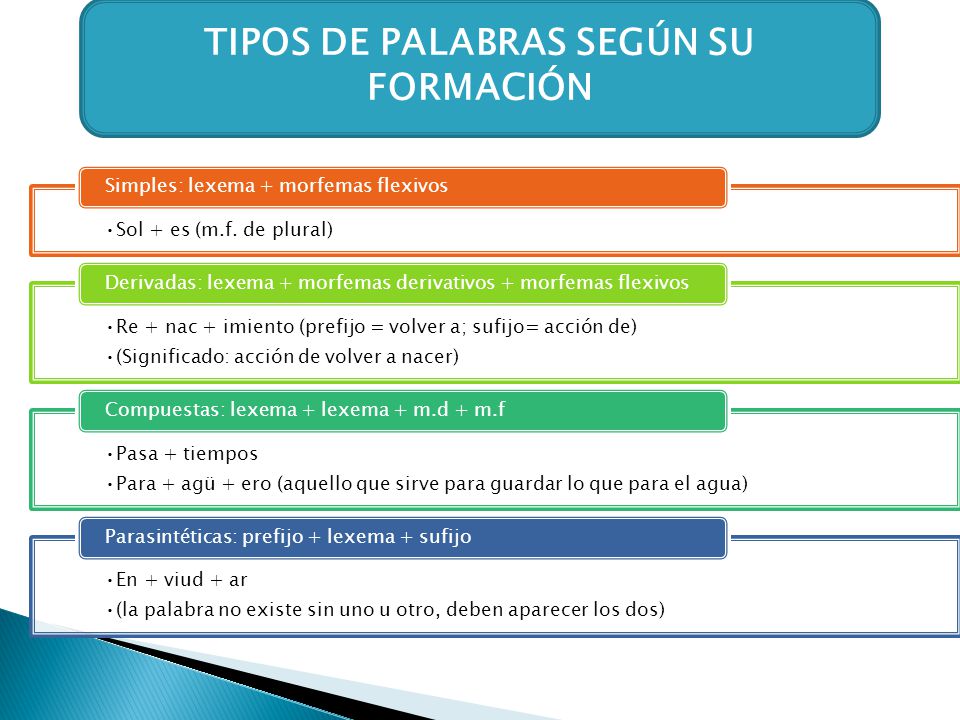 TIPOS DE PALABRAS SEGÚN SU FORMACIÓN