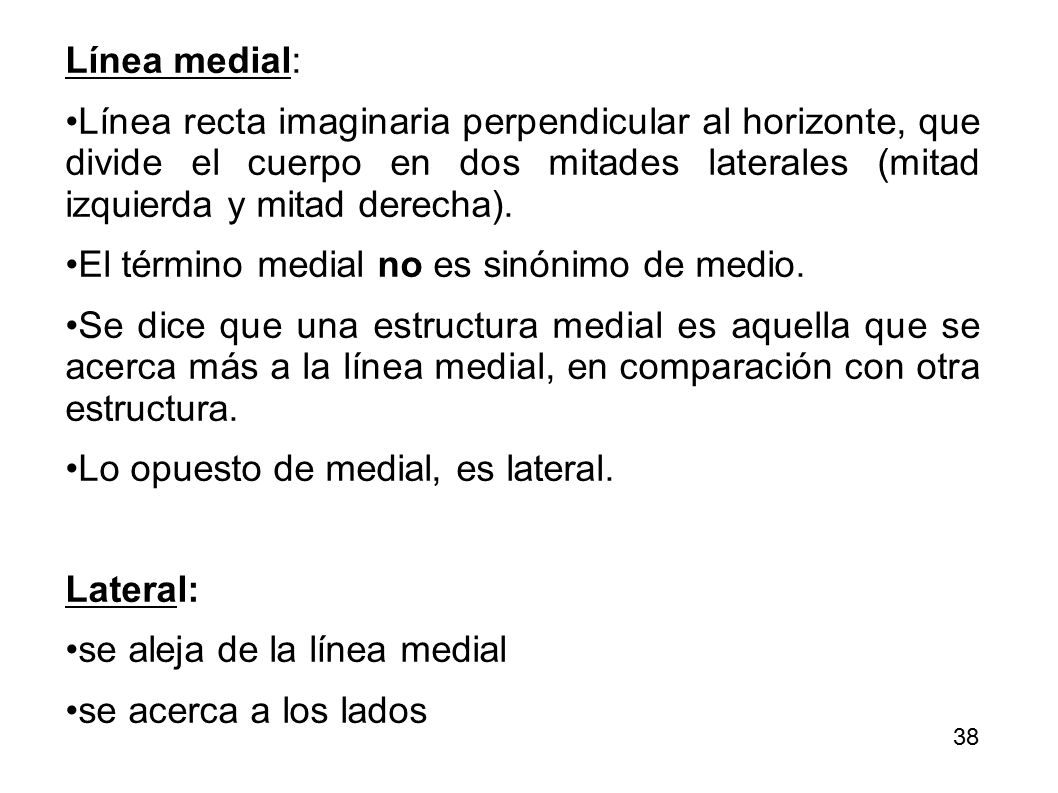 Línea medial: Línea recta imaginaria perpendicular al horizonte, que divide el cuerpo en dos mitades laterales (mitad izquierda y mitad derecha).