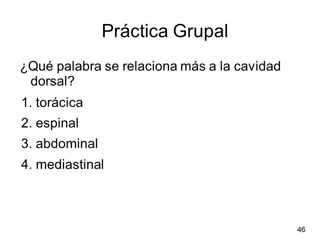 Práctica Grupal ¿Qué palabra se relaciona más a la cavidad dorsal