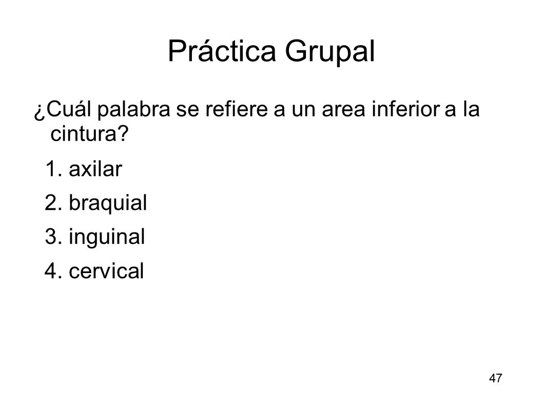 Práctica Grupal ¿Cuál palabra se refiere a un area inferior a la cintura 1. axilar. 2. braquial.