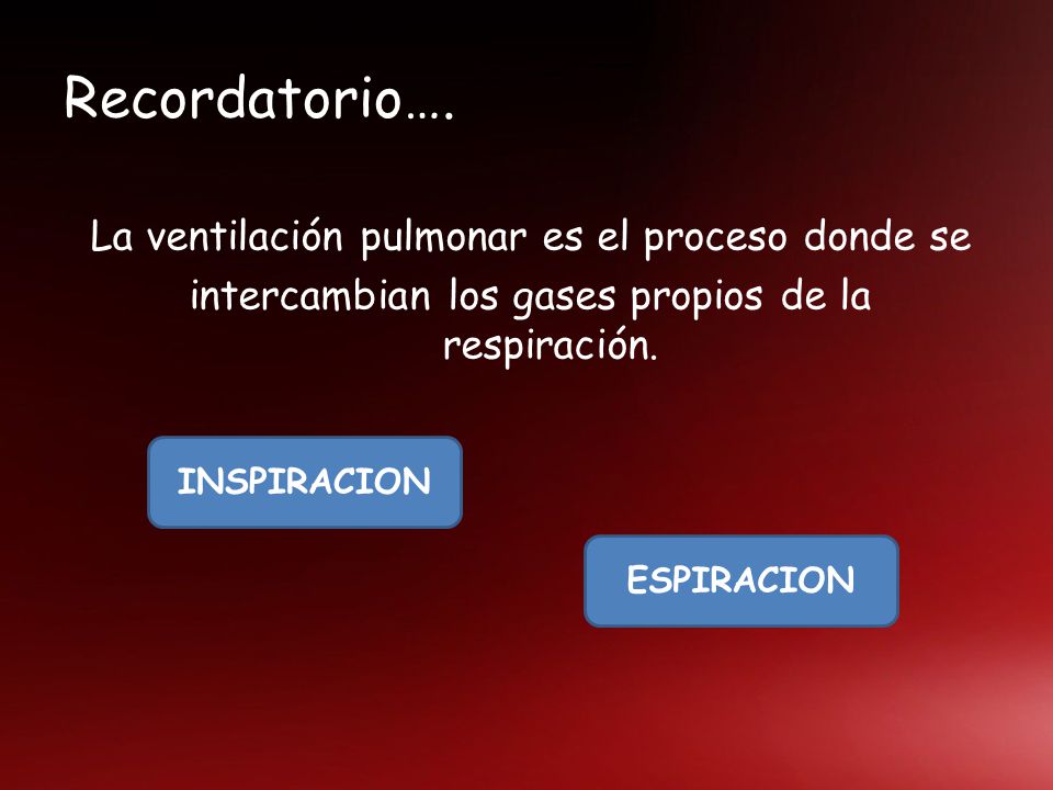 Recordatorio…. La ventilación pulmonar es el proceso donde se intercambian los gases propios de la respiración.