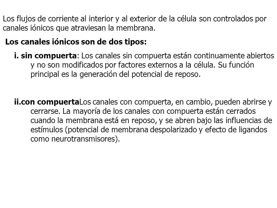 Los flujos de corriente al interior y al exterior de la célula son controlados por canales iónicos que atraviesan la membrana.